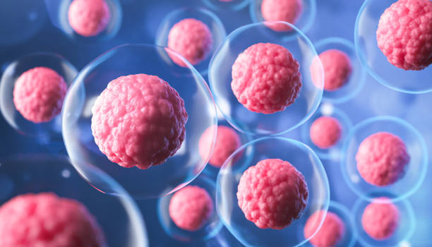 what is stem cell therapy
