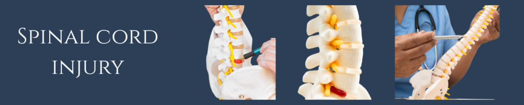 Spinal Cord Injury Treatment in India